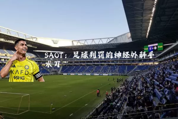 SAOT：足球判罚的神经外科手术刀